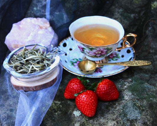 Silver Needle White Tea (Fujian)